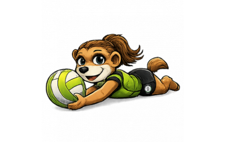 Baby volley